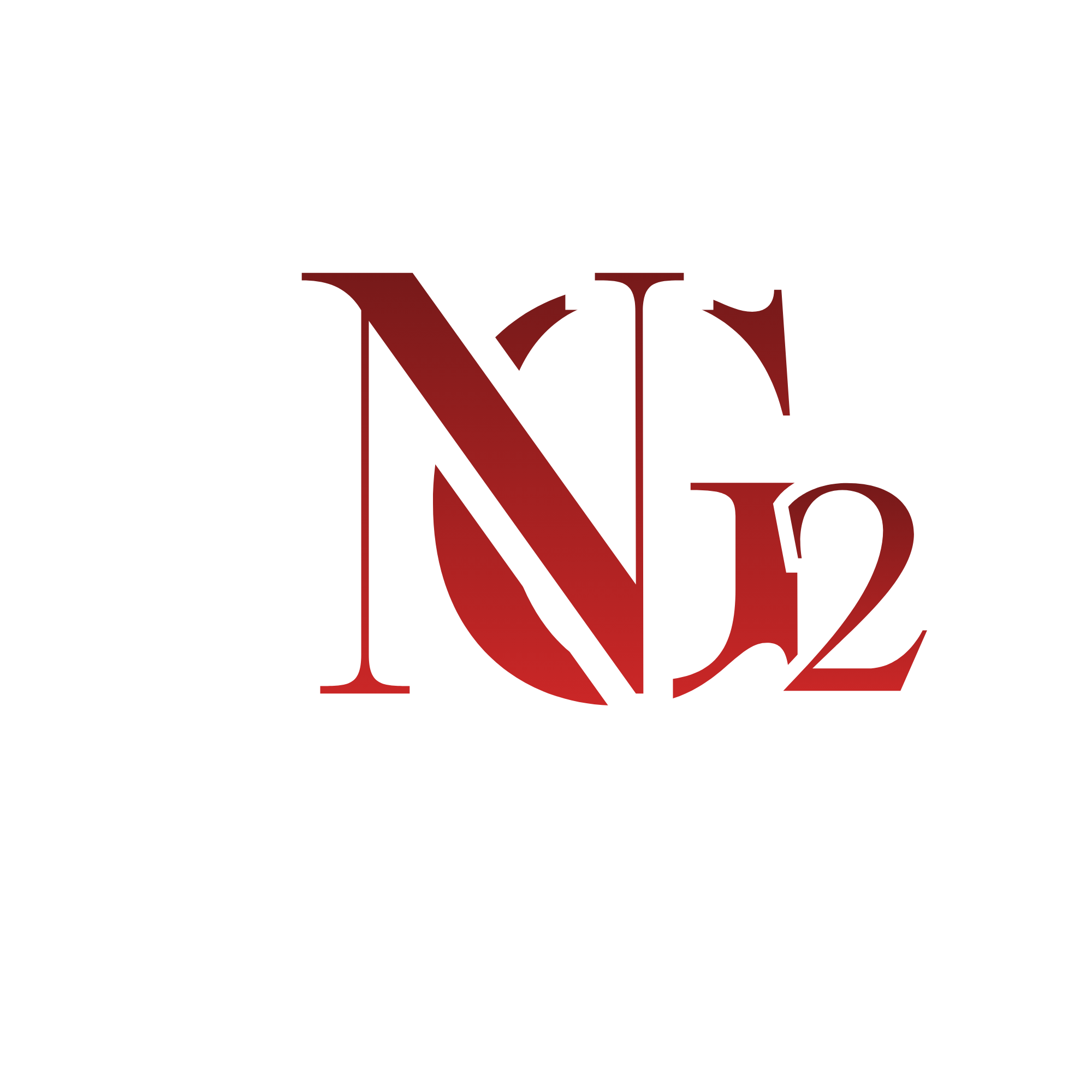 NG2 Info Solution Logo